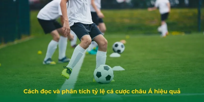 Cách đọc và phân tích tỷ lệ cá cược châu Á hiệu quả